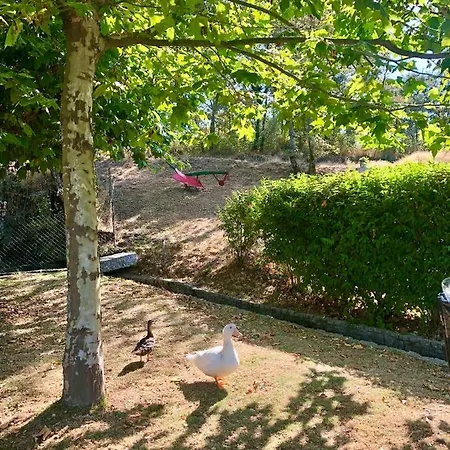 De La Tour - Quinta Da Prelada Simao *