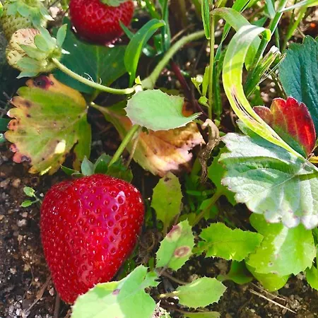 De La Tour - Quinta Da Prelada Simao Apartament *