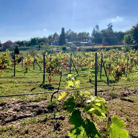 De La Tour - Quinta Da Prelada Simão Apartamento *
