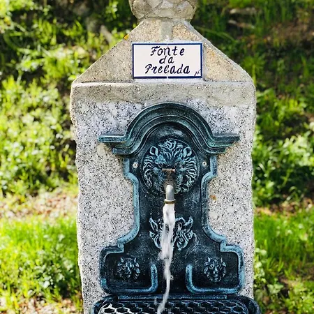 De La Tour - Quinta Da Prelada Simao Celorico De Basto