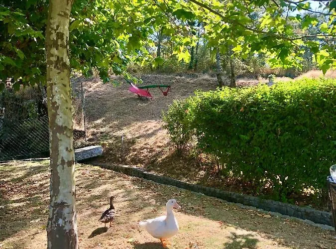 De La Tour - Quinta Da Prelada Simao *