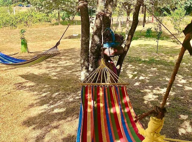 De La Tour - Quinta Da Prelada Simao *