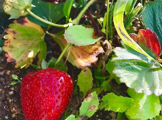 De La Tour - Quinta Da Prelada Simao Appartamento *