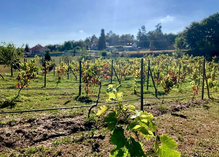 De La Tour - Quinta Da Prelada Simao Appartamento *