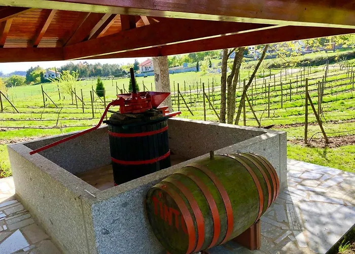 De La Tour - Quinta Da Prelada Simao * Celorico De Basto