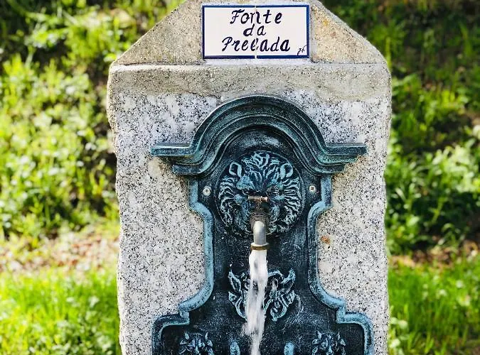 De La Tour - Quinta Da Prelada Simao Celorico De Basto